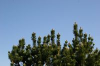 IMG_8329